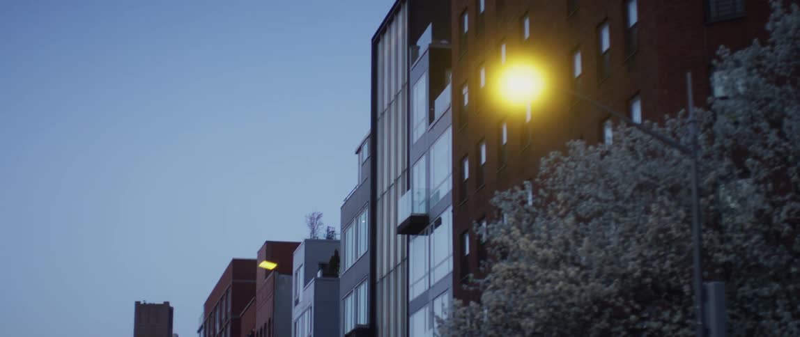 Flowering tree stands near street lined with apartment buildings