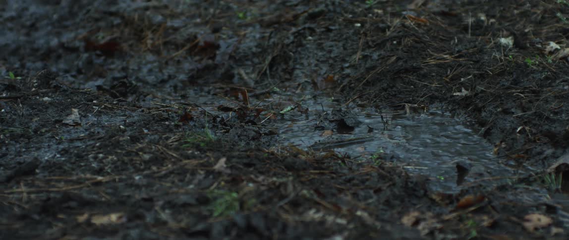 A vehicle rides over the puddle in the mud