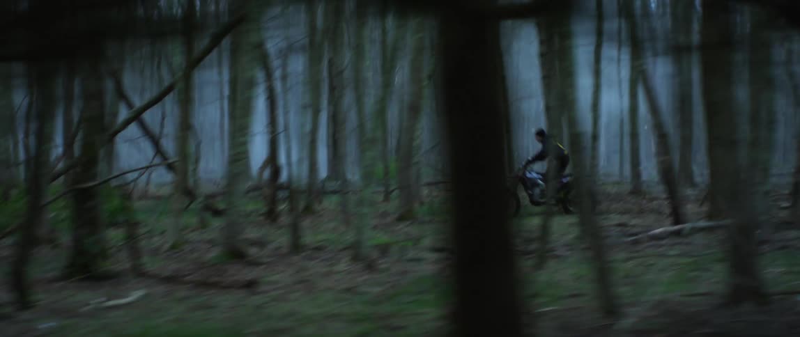 A motorcycle travels fast through a forest of trees
