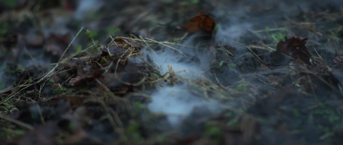 Smoke rise from pile of fallen leaves and other lawn debris