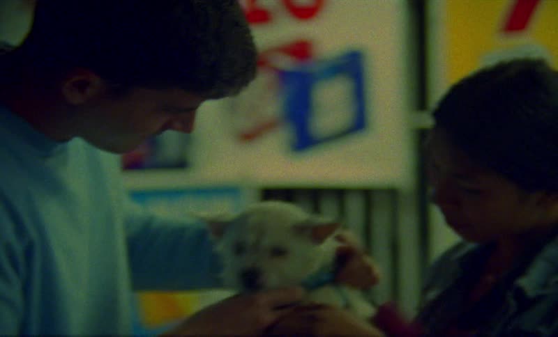 Two people look at a dog together