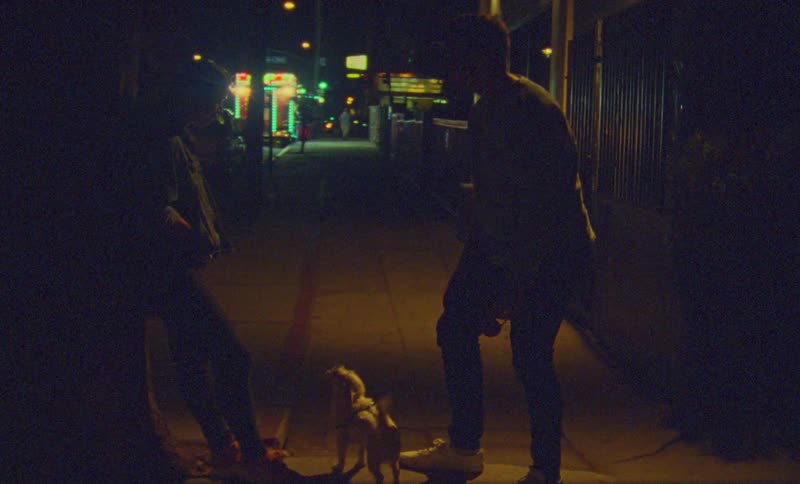 A man walks up to a person leaning against a tree and pets their dog