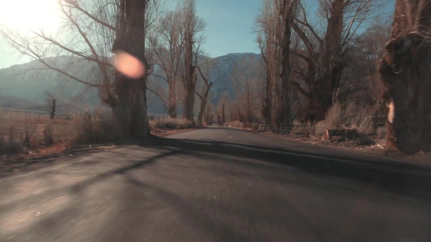 An empty road is displayed in fall at dusk