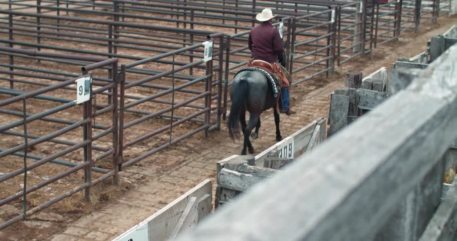 A cowboy riding a black horse by gated enclosures on a ranch