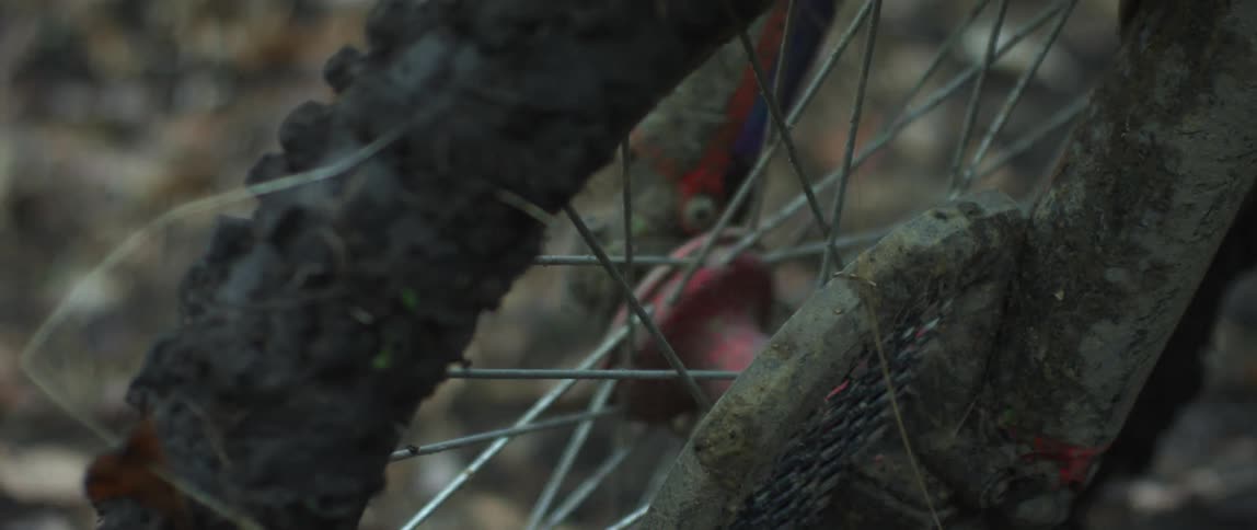 A view of a dirt bike wheel in the forest