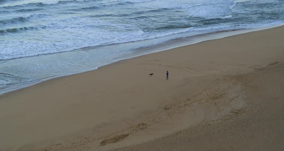 A dog runs toward the ocean while jogging with its owner on the beach