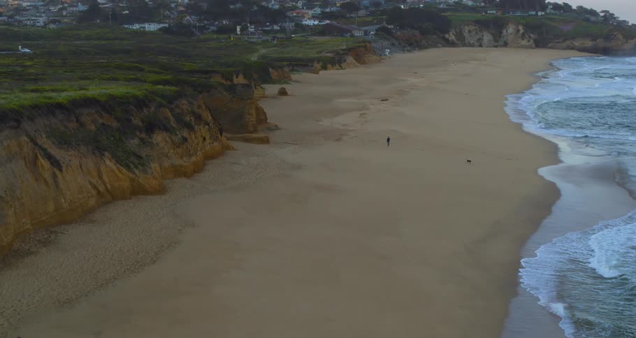 An aerial view of a man and his dog on a vacant beach near a small town in the evening