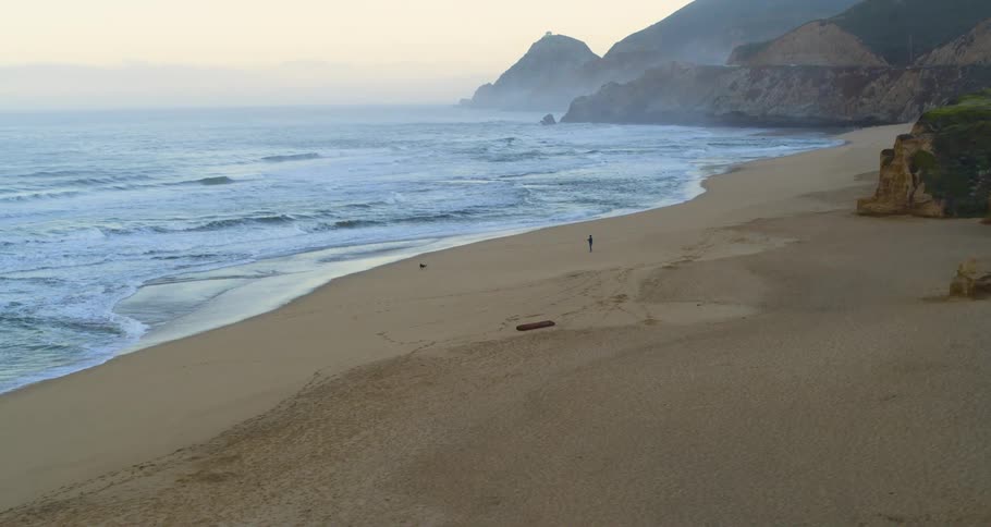 Waves roll in over the sand as someone is playing with their dog on the beach