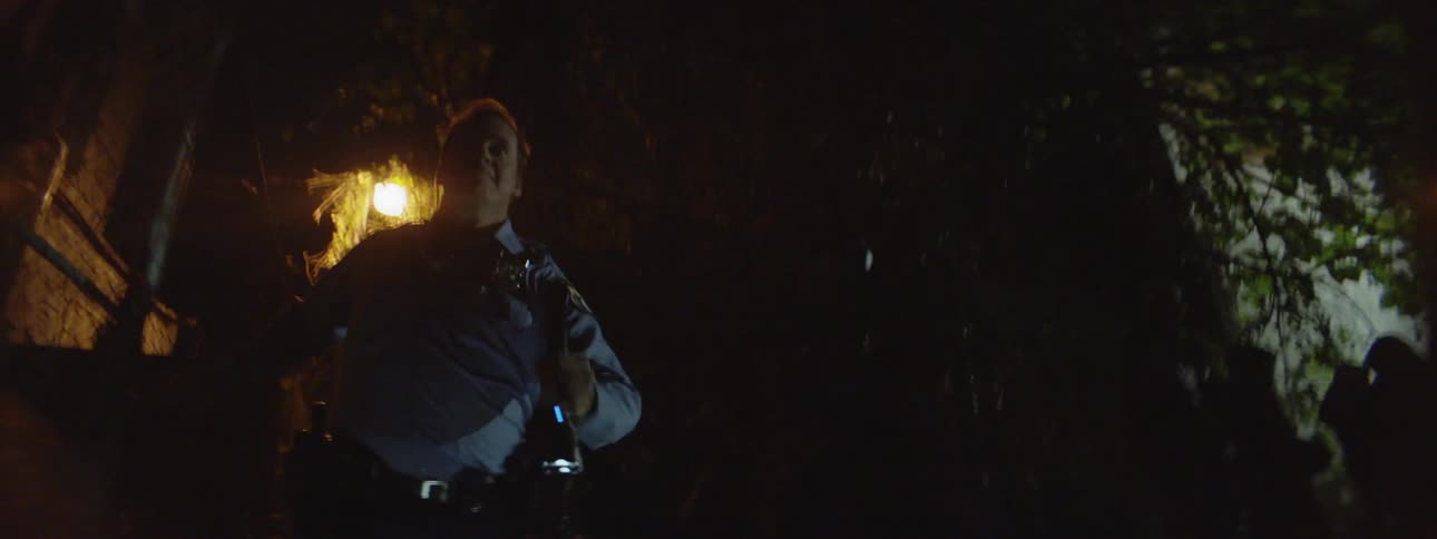 Flashlights shine wildly in the night as a man runs quickly