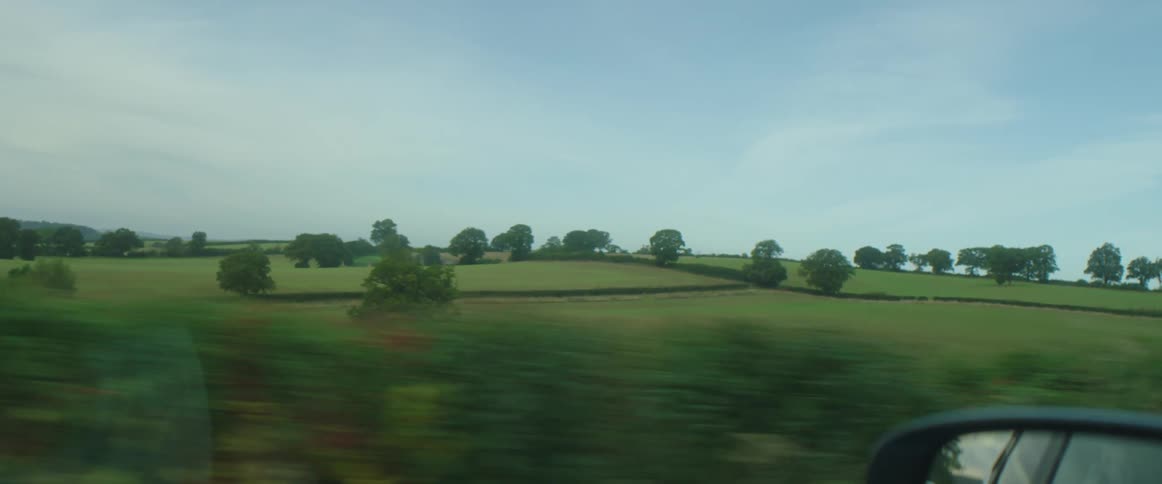 A car is driving near a grassland area