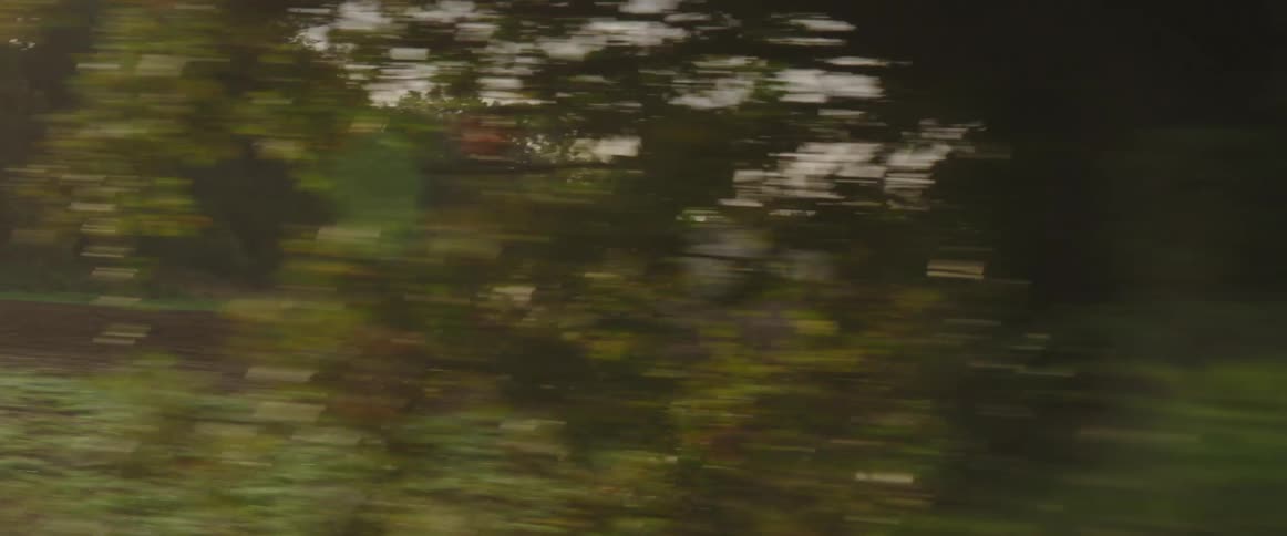 A dirt field surrounded by forest in the countryside during the day
