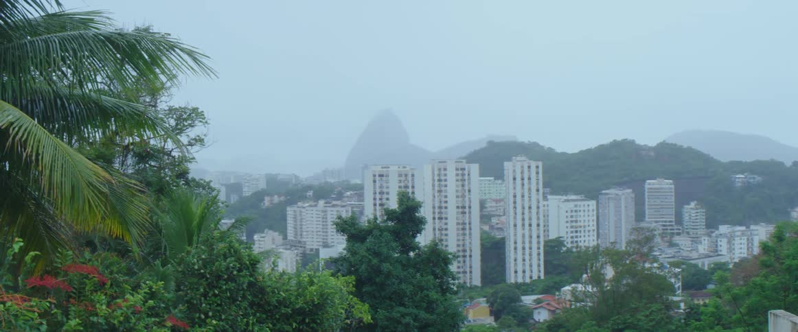 Skyscrapers loom over a metropolis surrounded by greenery on a foggy day
