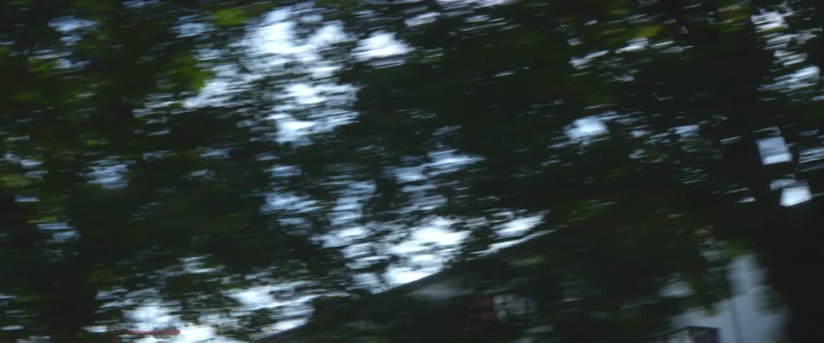 Trees in front of office buildings