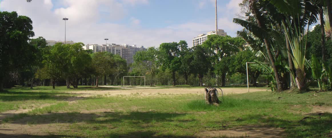 Traffic passes along street between sports field at a park and buildings