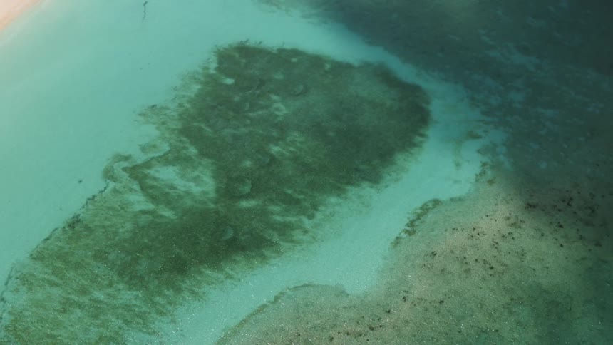 Green algae patch sits just off shore