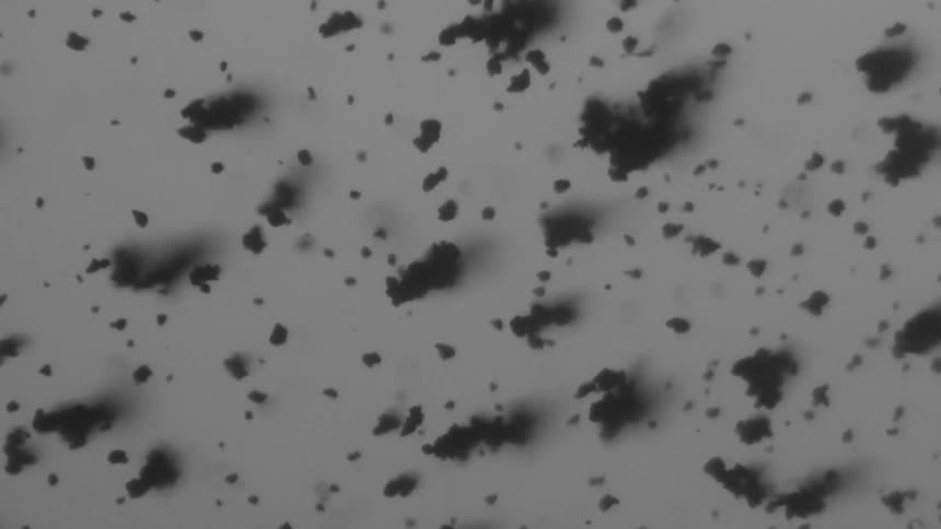 Black particles float across a white surface