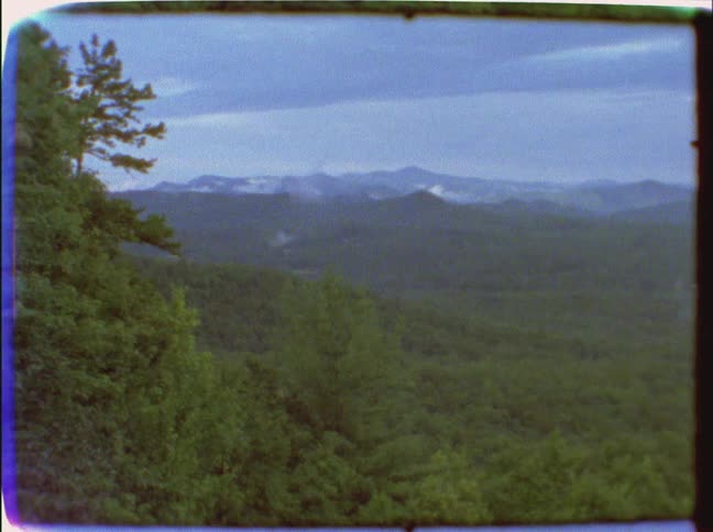 A very large area of trees below with mountains in the distance