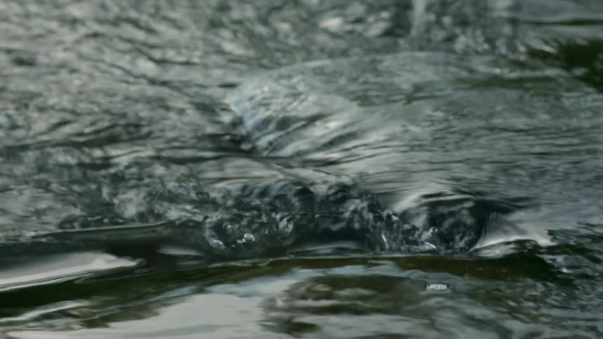 Water flows over a rock