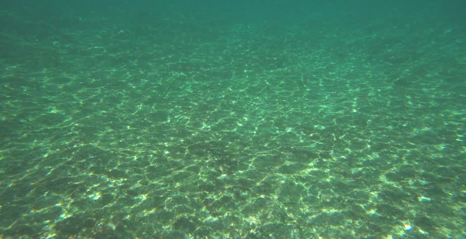 Under water in the ocean is displayed at midday