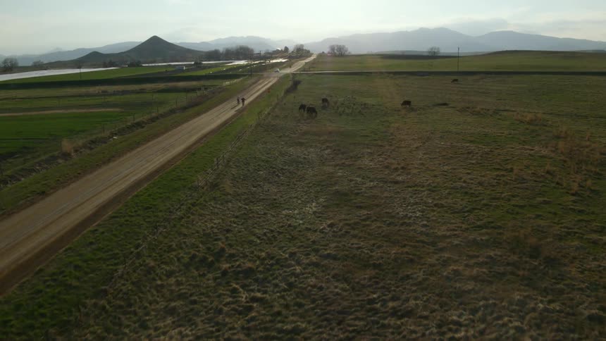 An aerial view of two people walking on a rural road on a sunny day