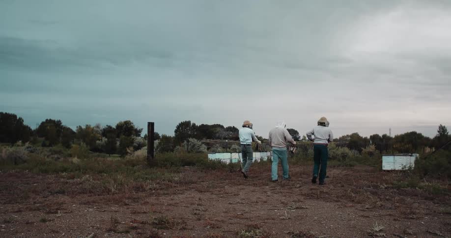 A view of three people walking out in a field