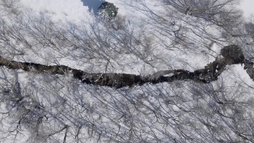 Snow is covering the rural landscape at midday