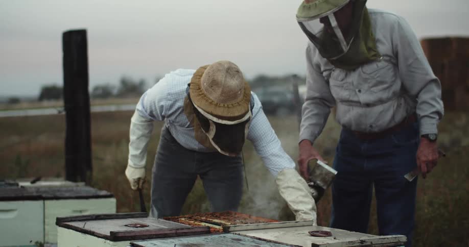 A man lifts the top off a bee hive as another spreads smoke