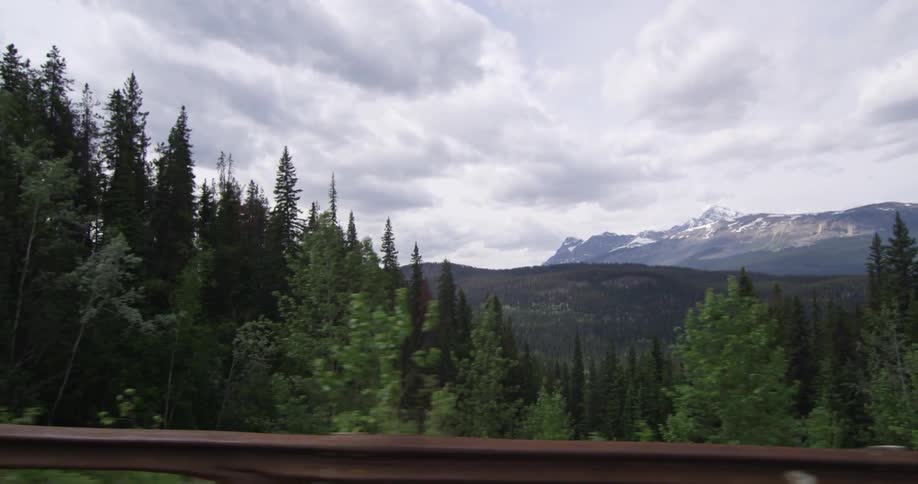 Driving past a forest with mountains in the distance