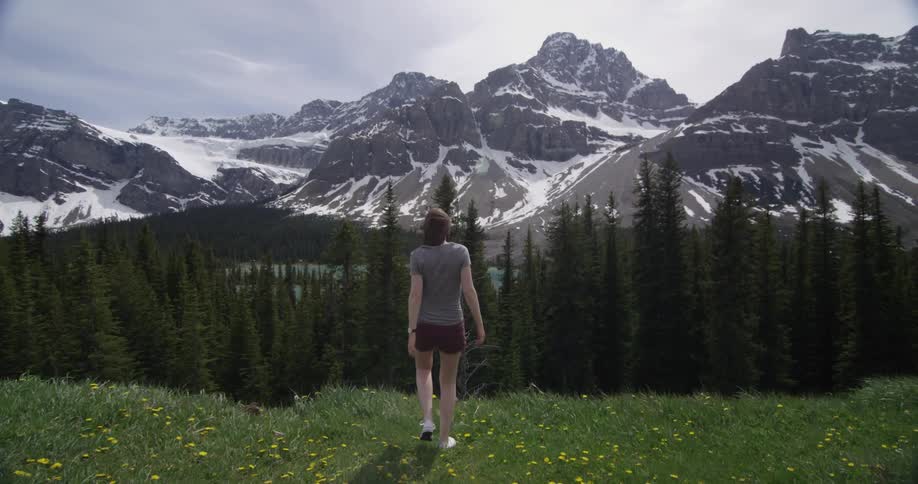 A woman walks to the edge of a flowery field