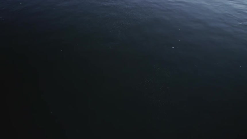 Sunlight is reflecting on a body of water