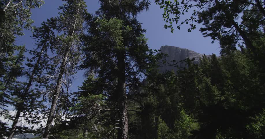 A mountain peaks out over the forest
