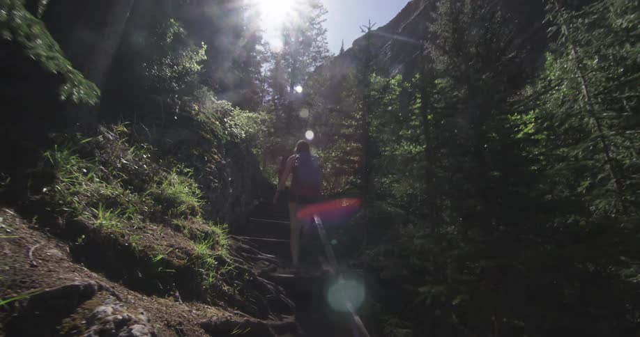 A woman is hiking up some steps to go to the top of a mountain