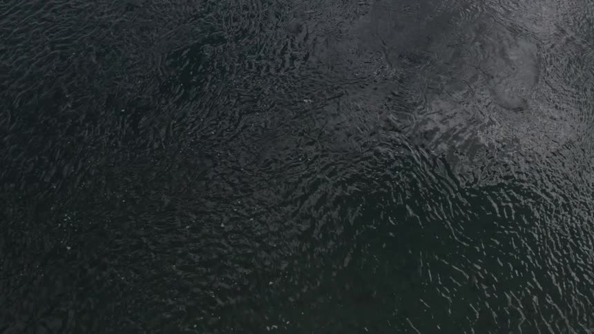 An aerial view of the river