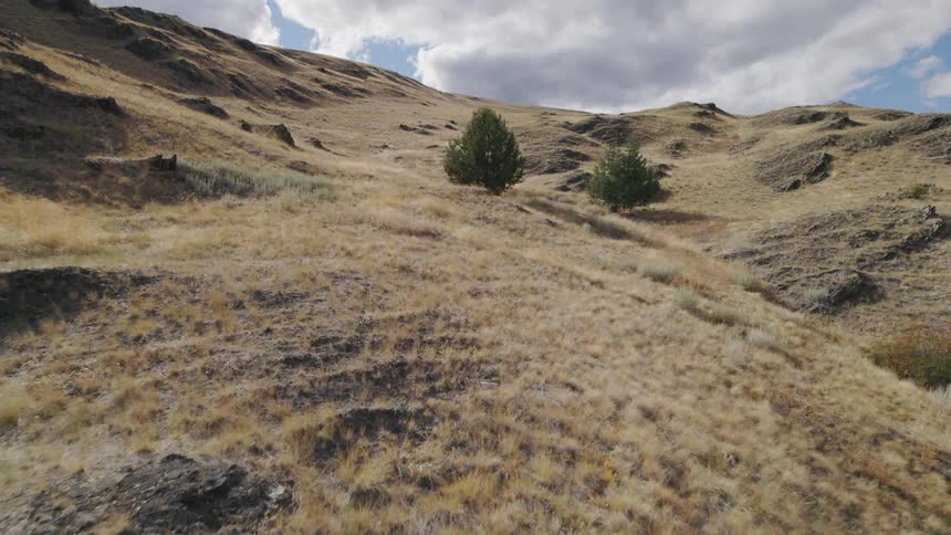 Rough mountainous terrain with a couple of trees and clouds in the sky