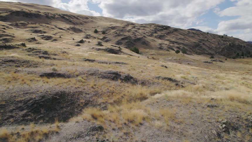 Aerial view of shrubland with hills
