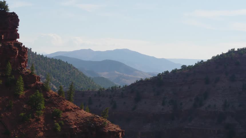 Thick trees cover mountains of a large mountain range