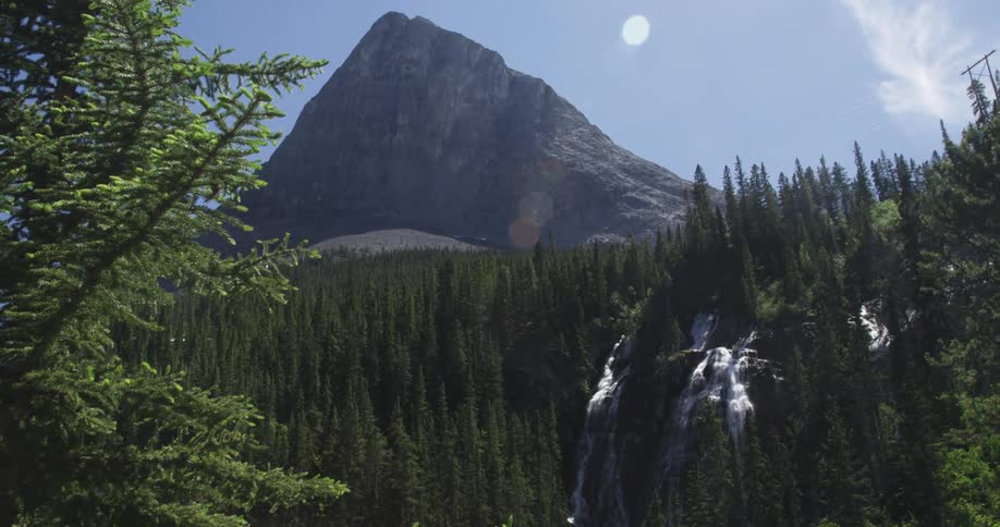 A row of trees lead to a high mountain