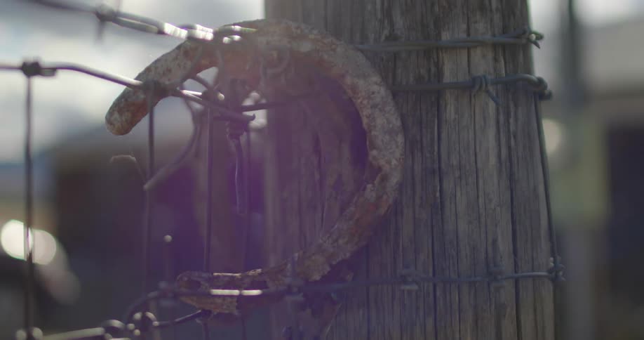 Close up of the sun shining down a horseshoe hanging on a barbed wire fence