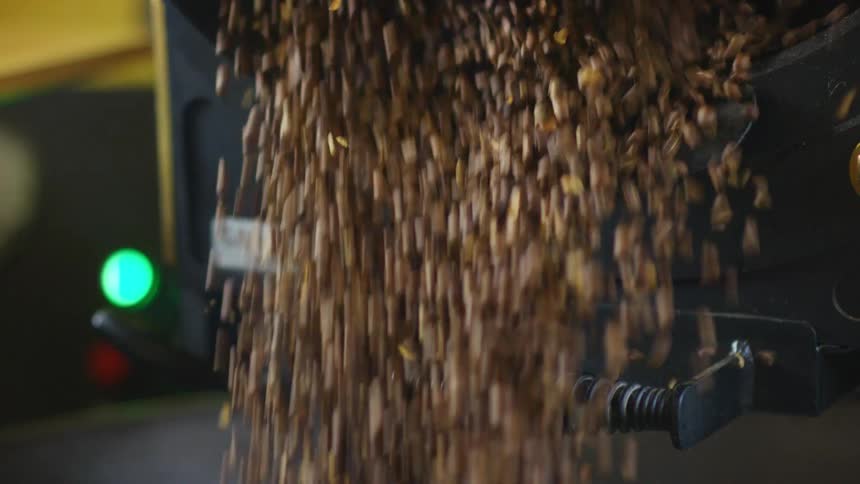 Man opens the lid of a roaster oven letting out the roasted coffee beans
