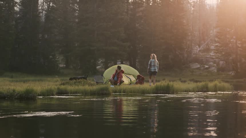 Dog walks out of a river and shakes near a tent on the forest at morning