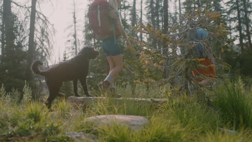 Man and woman are hiking through the woods with their dog