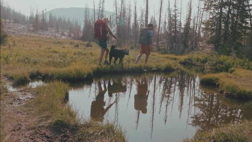 Woman man and their dog are hiking in a wooded area