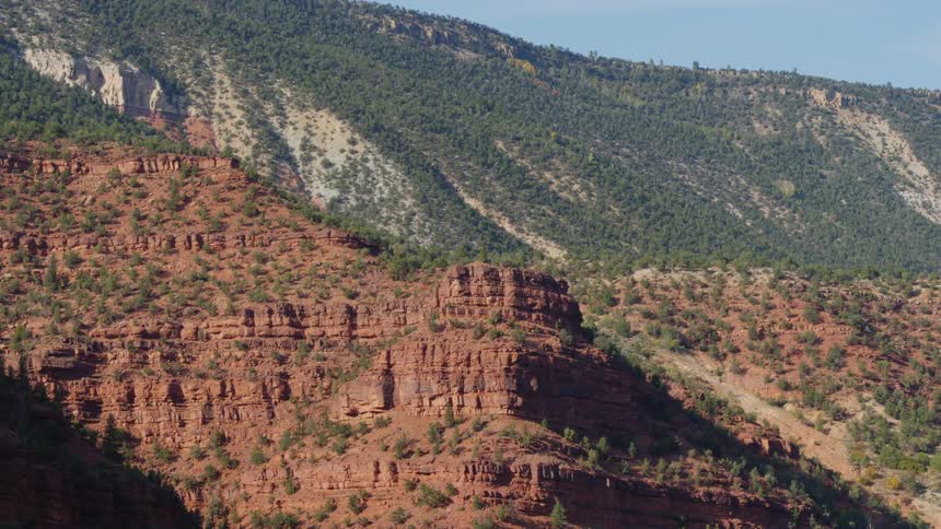 Trees and plants are covering the valleys