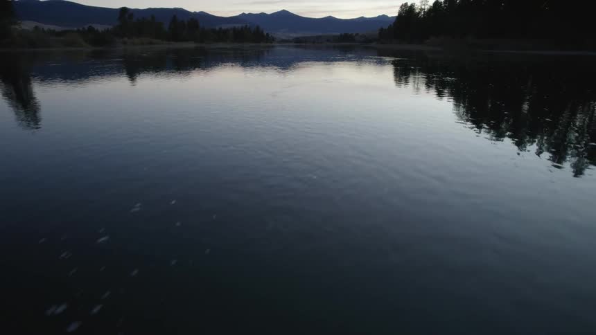 View of a lake surrounded by trees at dusk