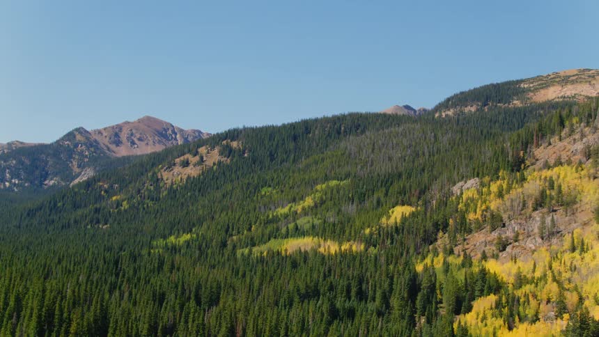 Trees covering a mountainside with a mountain range in the distance under a clear sky
