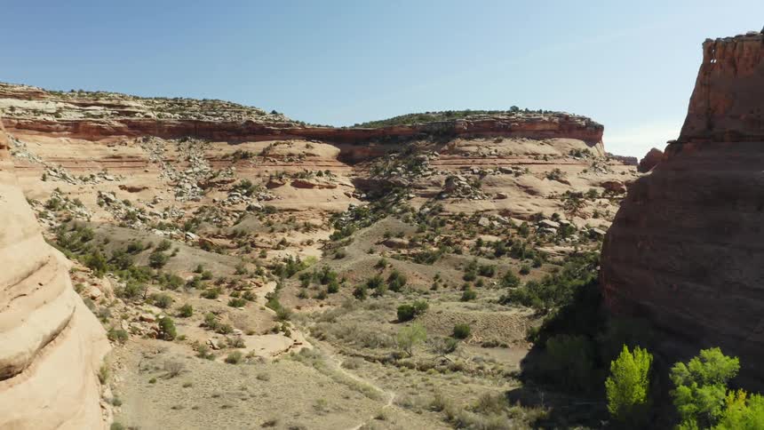 Aerial view of peaks and valleys covered in trees