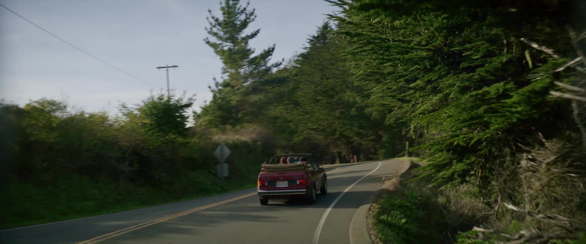 A group of people travel along a curvy road through dense vegetation in an open top car during the day