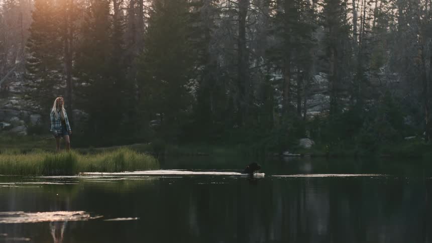 Woman camping on a tent in the forest throws a stick into a lake for his dog