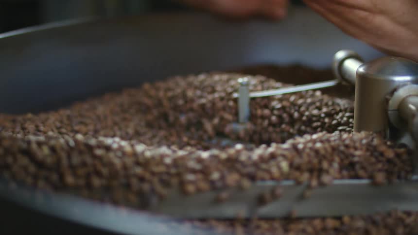 Man stirs coffee beans moving beans between arms of stirring machine