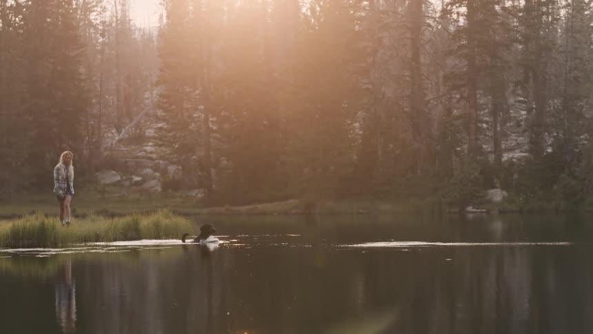A camping woman tosses a stick into a lake causing a dog to jump into the water and start swimming to fetch it